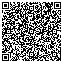 QR code with Pt Electronics contacts