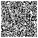QR code with Purple Turtle Books contacts