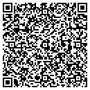 QR code with Project Safe contacts