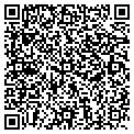 QR code with Wireless Toyz contacts