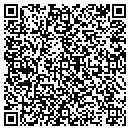 QR code with Ceyx Technologies Inc contacts