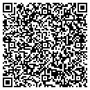 QR code with Cypress Semiconductor contacts