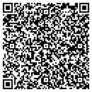 QR code with Chelsea S Books Etc contacts