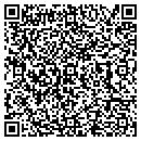 QR code with Project Wise contacts