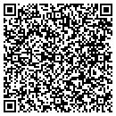 QR code with Borg Dane M PhD contacts