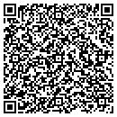 QR code with Cat And Cannon Books contacts