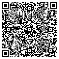 QR code with Basics contacts