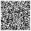 QR code with Public Works contacts