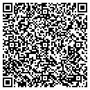 QR code with Pyramid Liquors contacts