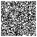 QR code with Precise Communication contacts