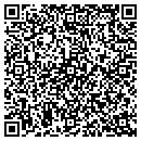 QR code with Connie Stapleton Dvm contacts