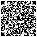 QR code with Pulco Import Corp contacts
