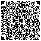QR code with Babic & Lieberman pa contacts