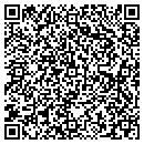 QR code with Pump It Up Party contacts