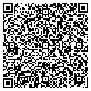 QR code with Practice Design Group contacts