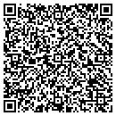 QR code with Colorado Auto Damage contacts