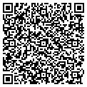 QR code with Organa contacts