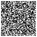 QR code with Ford David A contacts