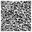 QR code with Pulse Creation contacts
