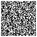 QR code with Puppets Alive contacts