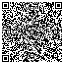 QR code with Canaan Valley Vfd Inc contacts