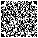 QR code with Professional Graphics contacts