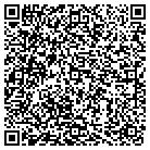 QR code with Punkriddle Graphics LLC contacts