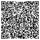 QR code with Blue Mesa Excavation contacts