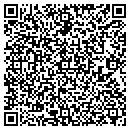 QR code with Pulaski Tri County Fire Department contacts