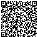 QR code with Volfs contacts