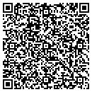 QR code with Premiere Anesthesia contacts