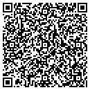 QR code with Briscoe Holly R Lcswc contacts