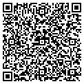 QR code with Signal contacts