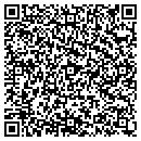 QR code with Cyberhawk Systems contacts