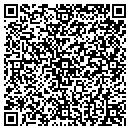 QR code with Promote It Intl Inc contacts