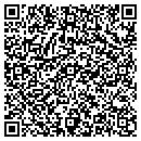 QR code with Pyramids Supplies contacts