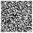 QR code with City Plates & Enlargement contacts