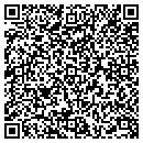 QR code with Pundt Gary W contacts
