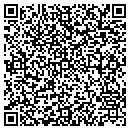 QR code with Pylkka Heidi L contacts