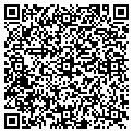 QR code with Todd Randy contacts