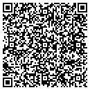 QR code with County Of Irwin contacts