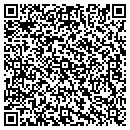 QR code with Cynthia L Meeske Lcsw contacts