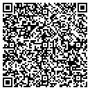QR code with Cj S Custom Graphics contacts