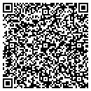 QR code with Premier Home Theater contacts