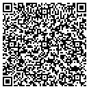 QR code with Staub Lisa K contacts