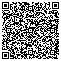 QR code with Mesa contacts