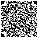 QR code with Public Storage contacts