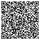 QR code with Cape Island Graphics contacts