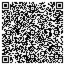 QR code with Pvd Dynamics contacts