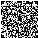 QR code with Print Professionals contacts